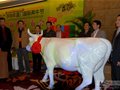 2010厦门国际奔牛节—两岸共创中国牛