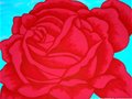 广州墙绘——手绘墙画玫瑰花的含义